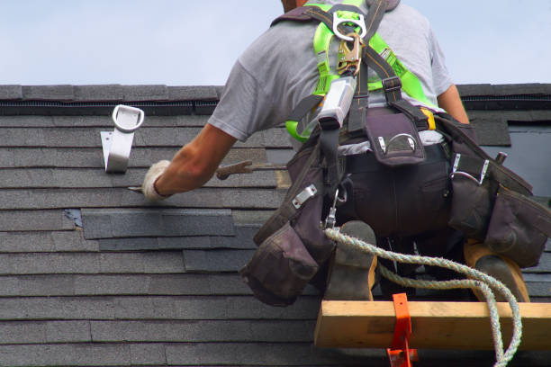 Gutter Replacement in Luna Pier, MI