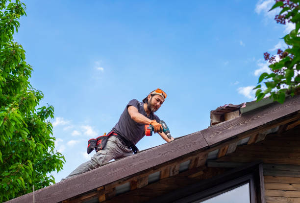 Best Skylight Installation and Repair  in Luna Pier, MI