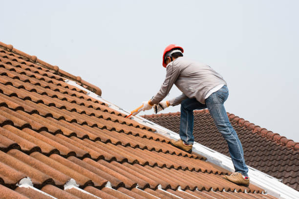 Best Sheet Metal Roofing  in Luna Pier, MI