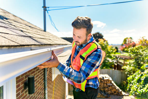 Best Roof Maintenance and Cleaning  in Luna Pier, MI