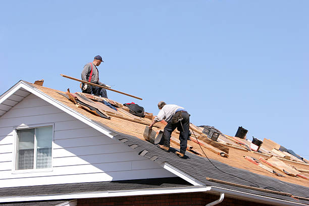 Best Green or Eco-Friendly Roofing Solutions  in Luna Pier, MI