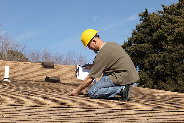 Best Hot Roofs  in Luna Pier, MI