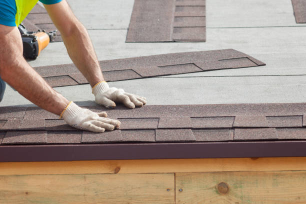 Best Roof Insulation Installation  in Luna Pier, MI
